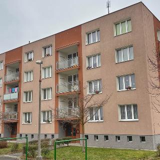 Pronájem bytu 1+1 39 m² Třemošná, 