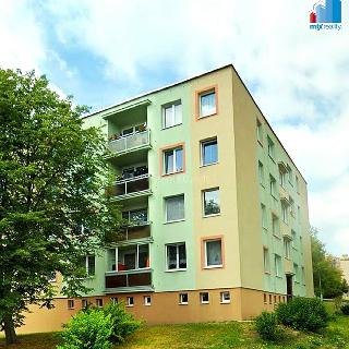 Pronájem bytu 1+kk a garsoniéry 30 m² Plzeň, 