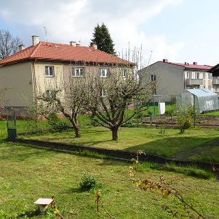 Pronájem zahrady 202 m² Horšovský Týn, ČSLA