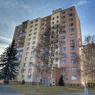 Pronájem bytu 1+kk a garsoniéry 20 m² Plzeň, 