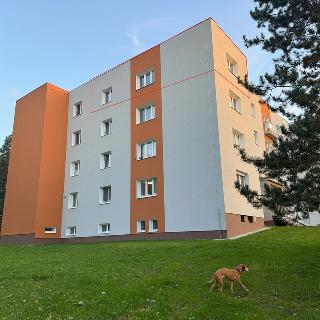 Pronájem bytu 2+1 68 m² Plzeň, 