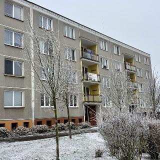 Pronájem bytu 1+1 39 m² Třemošná, 