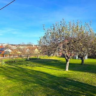 Prodej zahrady 473 m² Domažlice, Špillarova