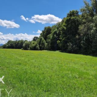 Prodej zemědělské půdy 5672 m&sup2; Sedliště