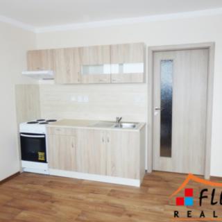 Pronájem bytu 1+1 48 m² Ostrava
