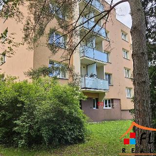 Pronájem bytu 1+1 36 m² Frýdek-Místek, Lískovecká