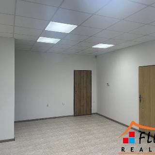 Pronájem obchodu 245 m² Ostrava, Navrátilova