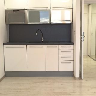 Pronájem bytu 1+kk a garsoniéry 30 m² Ostrava, 30. dubna