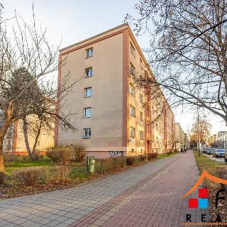 Pronájem bytu 2+1 55 m² Ostrava, Opavská