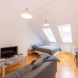 Pronájem bytu 1+1 44 m² Praha, Záhřebská