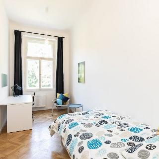 Pronájem pokoje 14 m² Praha, náměstí Kinských