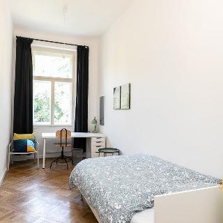 Pronájem pokoje 13 m² Praha