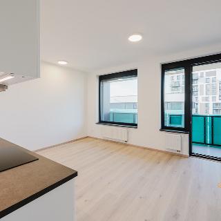 Pronájem bytu 1+kk a garsoniéry 39 m² Praha, Olgy Havlové