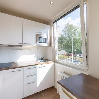 Pronájem bytu 1+1 30 m² Praha, Angelovova