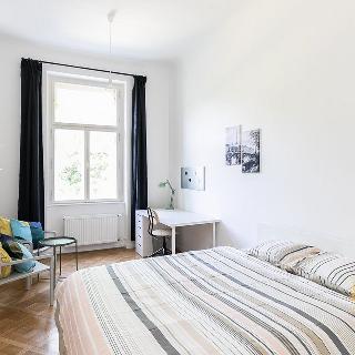 Pronájem pokoje 18 m² Praha, náměstí Kinských