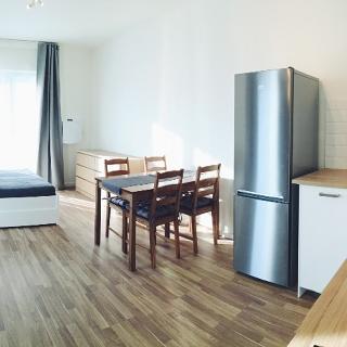 Pronájem bytu 1+kk a garsoniéry 33 m² Praha, Novovysočanská