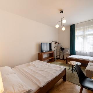 Pronájem bytu 1+kk a garsoniéry 25 m² Praha, Haštalská