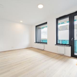 Pronájem bytu 1+kk a garsoniéry 39 m² Praha, Olgy Havlové