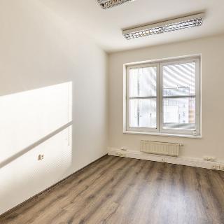 Pronájem kanceláře 41 m² Praha, Londýnská