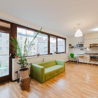 Prodej bytu 1+kk a garsoniéry 38 m² Praha, U měšťanského pivovaru