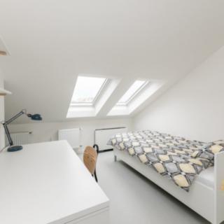 Pronájem pokoje 10 m² Praha