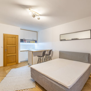 Pronájem bytu 1+kk a garsoniéry 29 m² Praha, Bílkova