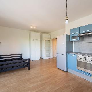 Pronájem bytu 1+kk a garsoniéry 43 m² Praha, Mikanova