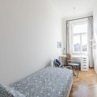 Pronájem pokoje 11 m² Praha, náměstí Kinských