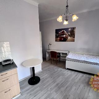 Pronájem bytu 1+kk a garsoniéry 20 m² Praha, Cimburkova