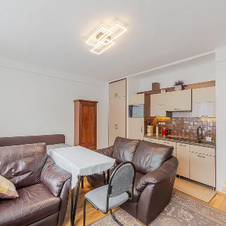 Pronájem bytu 1+kk a garsoniéry 32 m² Praha, Lucemburská