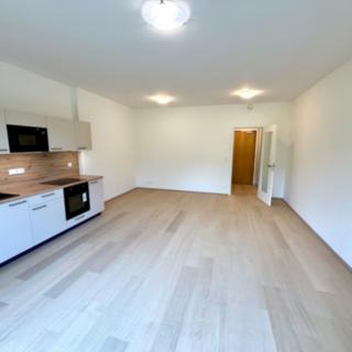 Pronájem bytu 1+kk a garsoniéry 38 m² Praha Hrdlořezy, V třešňovce