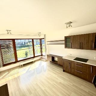 Pronájem bytu 2+kk 55 m² Praha, Nad Smetankou