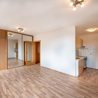 Pronájem bytu 1+kk a garsoniéry 34 m² Praha, Doležalova