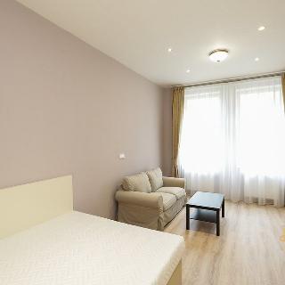 Pronájem bytu 1+1 40 m² Praha, Máchova