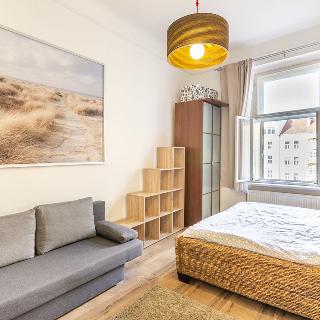 Pronájem bytu 1+kk a garsoniéry 23 m² Praha, Čs. armády