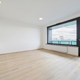 Pronájem bytu 1+kk a garsoniéry 41 m² Praha, Olgy Havlové