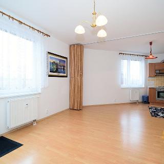 Pronájem bytu 1+kk a garsoniéry 40 m² Praha, Ve slatinách