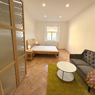 Pronájem bytu 1+1 41 m&sup2; Praha