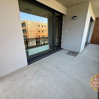 Pronájem bytu 2+kk 62 m² Plzeň, Kartónová