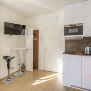 Pronájem bytu 1+kk a garsoniéry 16 m² Praha Smíchov, U Pernikářky