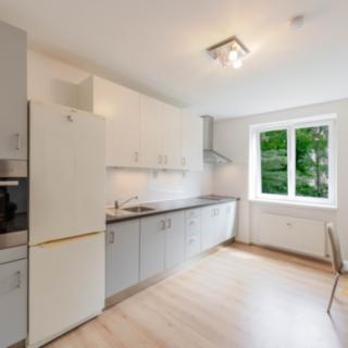 Pronájem bytu 1+1 33 m² Praha