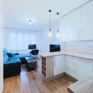 Pronájem bytu 2+kk 46 m² Praha, Patočkova