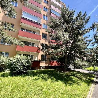 Prodej bytu 3+1 71 m² Brno, Krymská