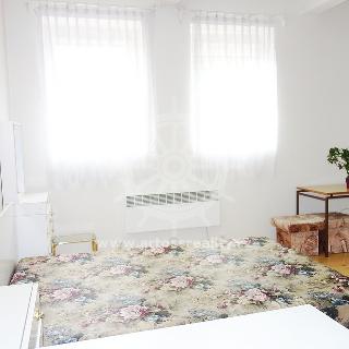 Pronájem bytu 1+kk a garsoniéry 25 m² Brno, Královopolská