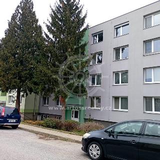 Pronájem bytu 2+1 56 m² Hustopeče, Školní