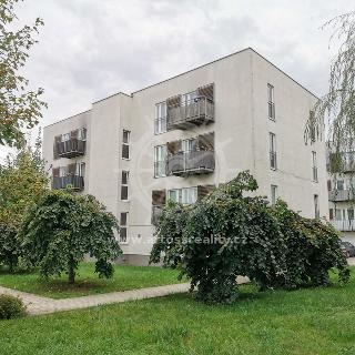 Pronájem bytu 2+kk 44 m², Vomáčkova