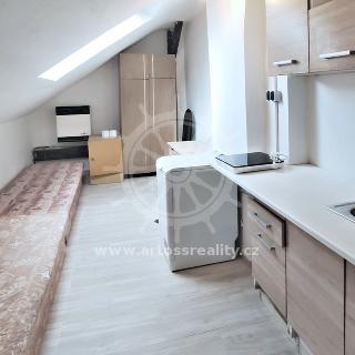 Pronájem bytu 1+kk a garsoniéry 14 m² Brno, Vodní