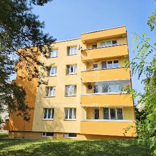 Prodej bytu 2+1 64 m² Brno, Seifertova