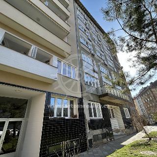 Pronájem bytu 1+kk a garsoniéry 45 m² Brno, Cihlářská