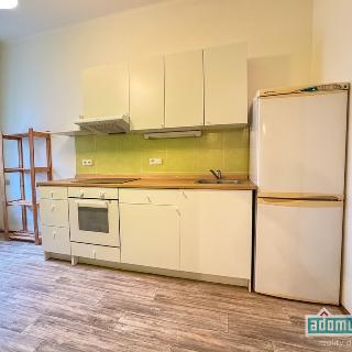 Pronájem bytu 2+1 64 m² Žatec, Hájkova